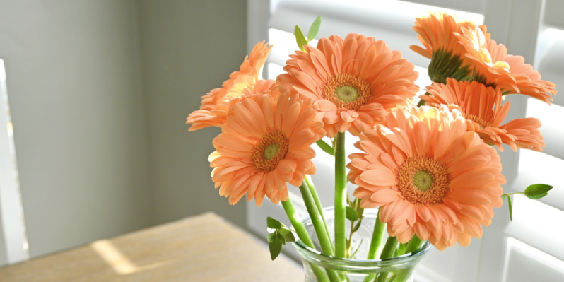 レコメンドフラワー 旬の花 ガーベラ バラ ペールオレンジの花