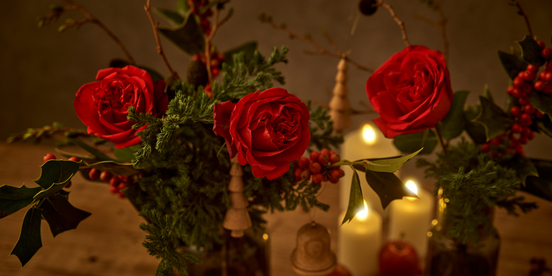 クリスマス クリスマスギフト フラワーギフト クリスマスの花