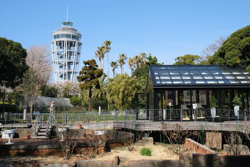 江の島コ苑キング苑