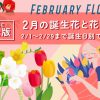 2月の誕生花一覧💐誕生日の花と花言葉