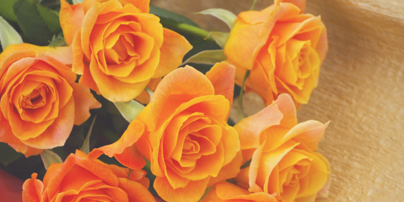 オレンジのバラ　バラ　愛妻の日　愛妻の日ギフト　花束