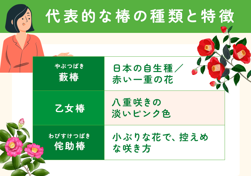 代表的な椿の種類と特徴