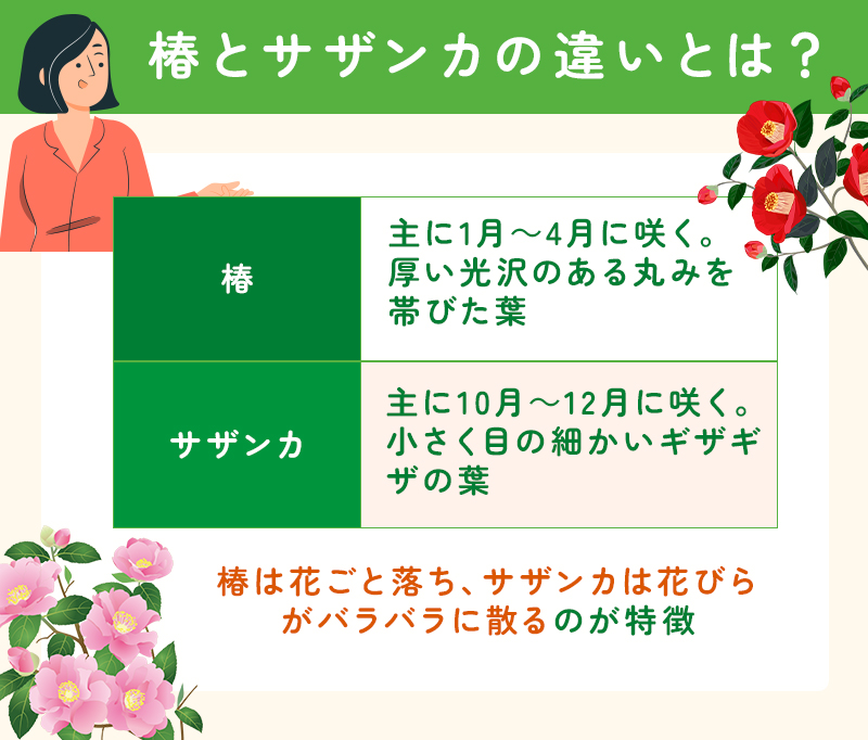 椿とサザンカの違い