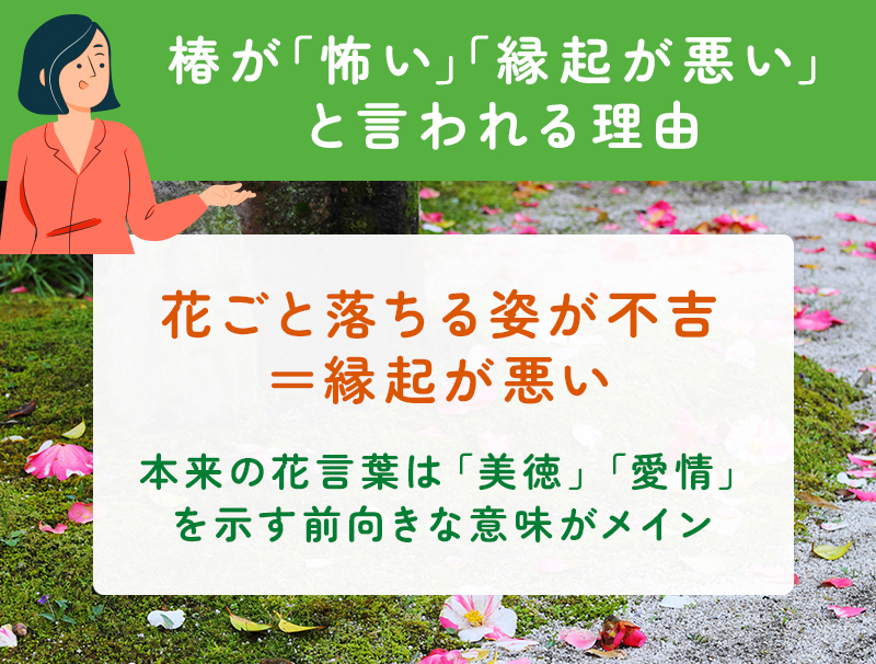 椿が怖い・縁起が悪いと言われる理由