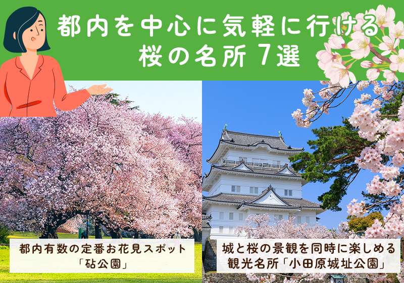 都内から近い桜の名所