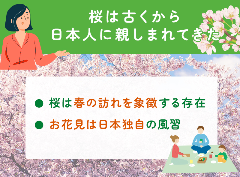 桜は日本人に親しまれている