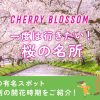 一度は行きたい桜の名所🌸全国の有名スポットや地域別の開花時期