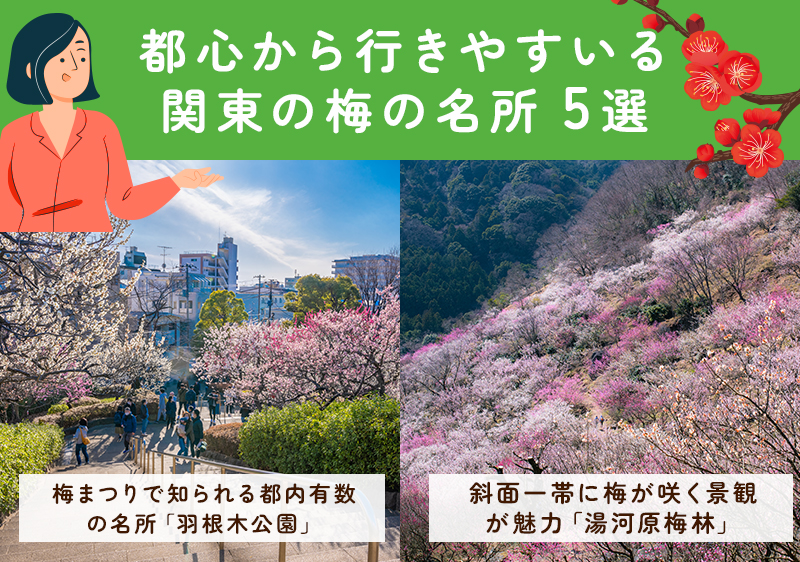 関東の梅の名所