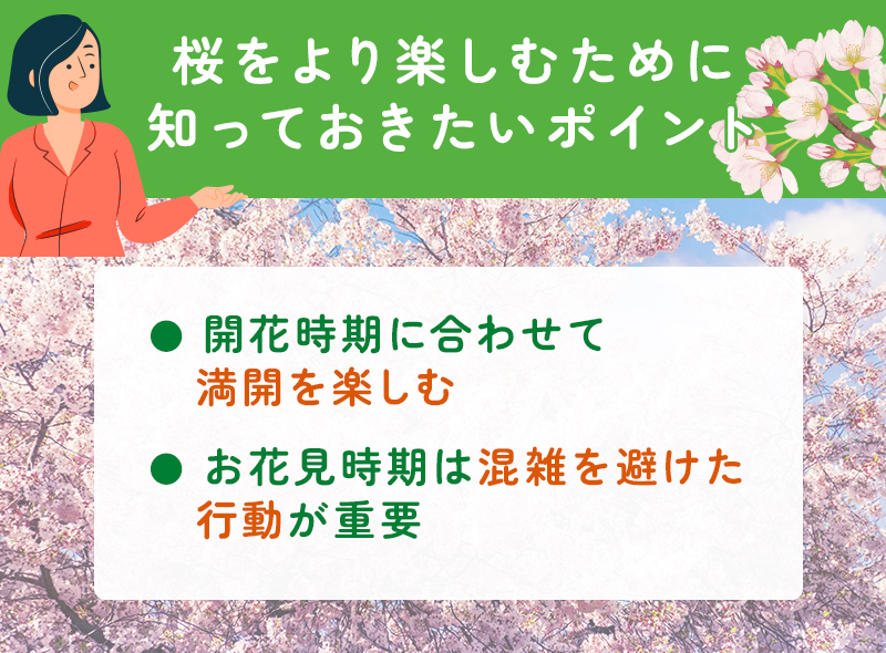 桜を楽しむために知りたいポイント