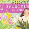 3月の誕生花一覧🌷代表的な花と花言葉をわかりやすく紹介