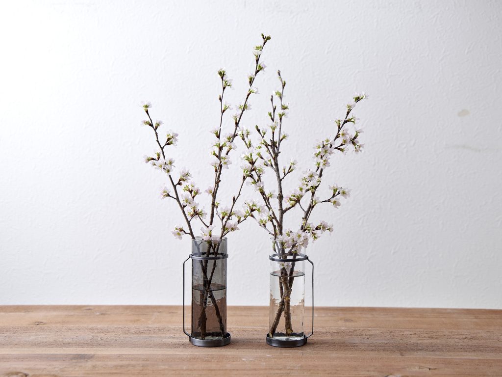 桜の扱い 桜のお手入れ 啓翁桜 桜 切り花