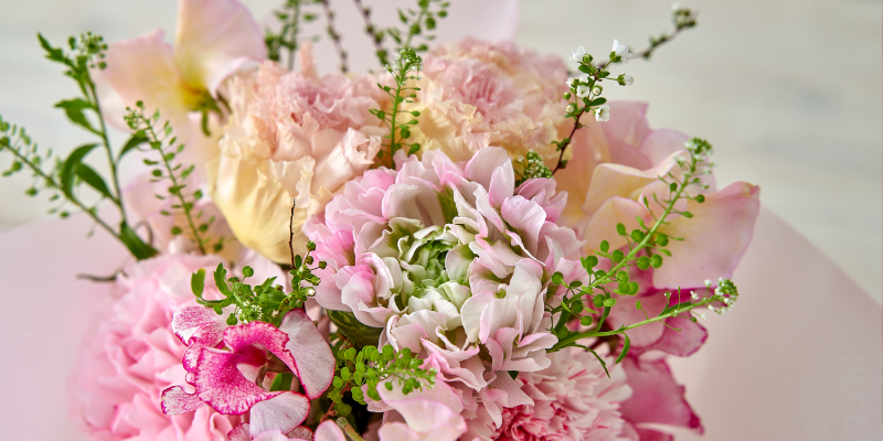 ひな祭り　桃の節句　桃　ラナンキュラス　菜の花　スイートピー　旬の花　レコメンドフラワー　日比谷花壇　春の花