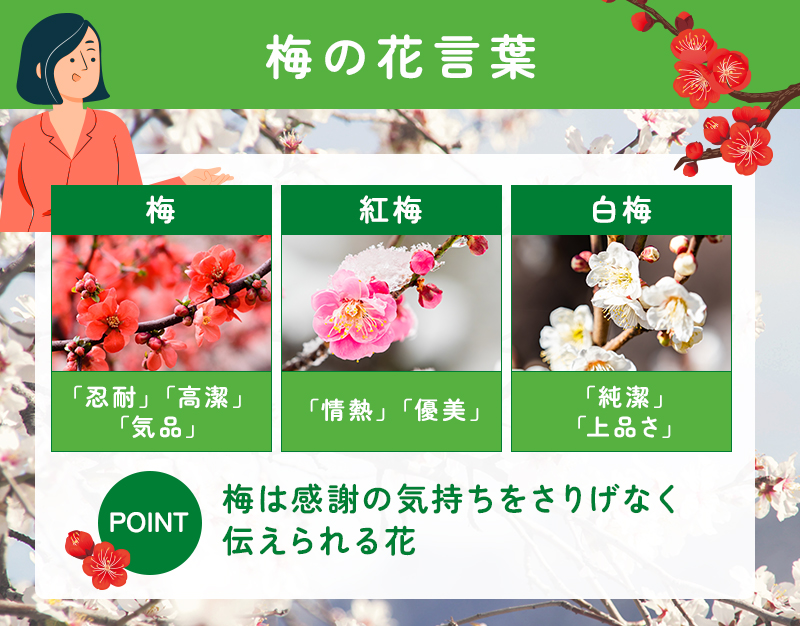 梅の花の花言葉