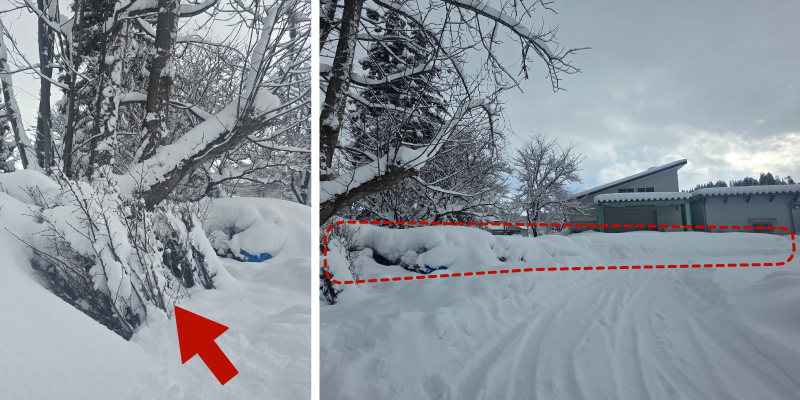 山形県 西川町 桜の産地