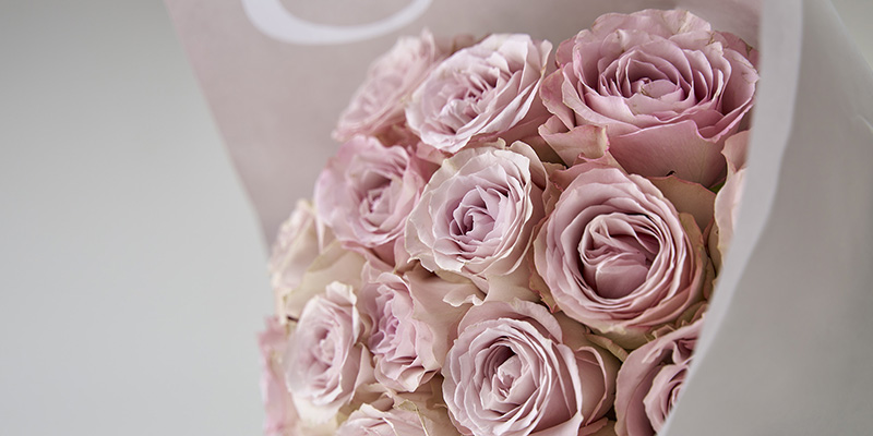 旬の花 おすすめの花 春の花 レコメンドフラワー バラ 淡いピンク ホワイトデー ギフト