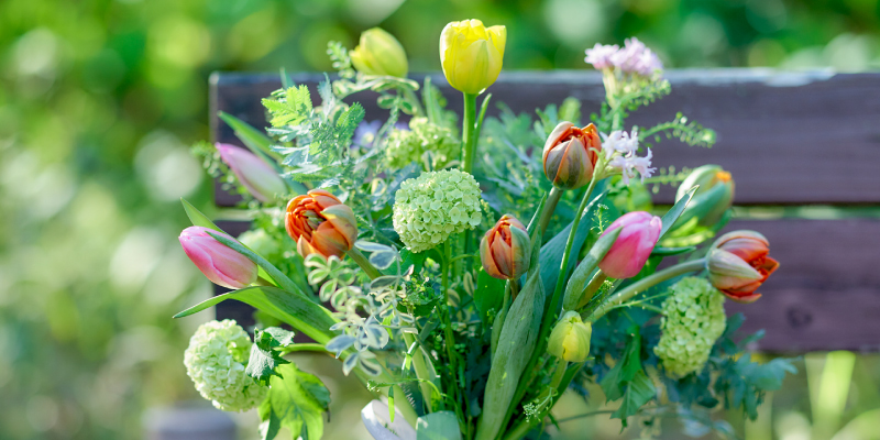 旬の花 おすすめの花 春の花 レコメンドフラワー チューリップ 送別 ギフト