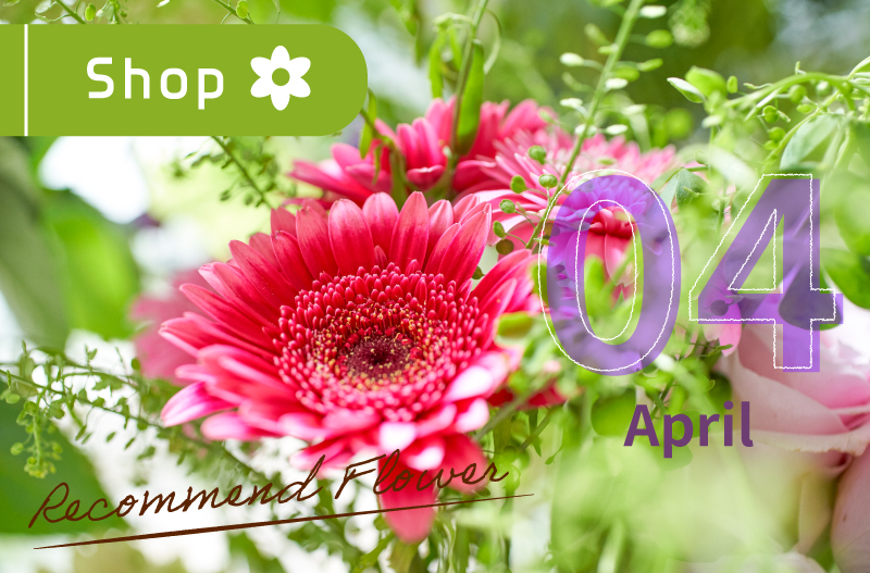 日比谷花壇　Hibiya-Kadan Style　レコメンドフラワー　旬の花　4月の花