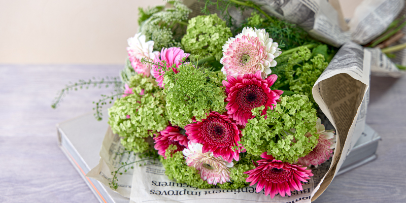 ガーベラ　旬の花