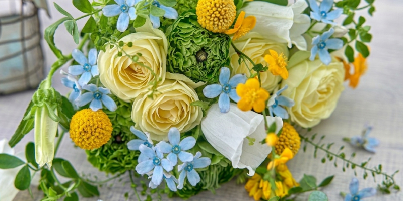 イースターの花　レコメンドフラワー　春のバラ　ブルースター　バラ　旬の花