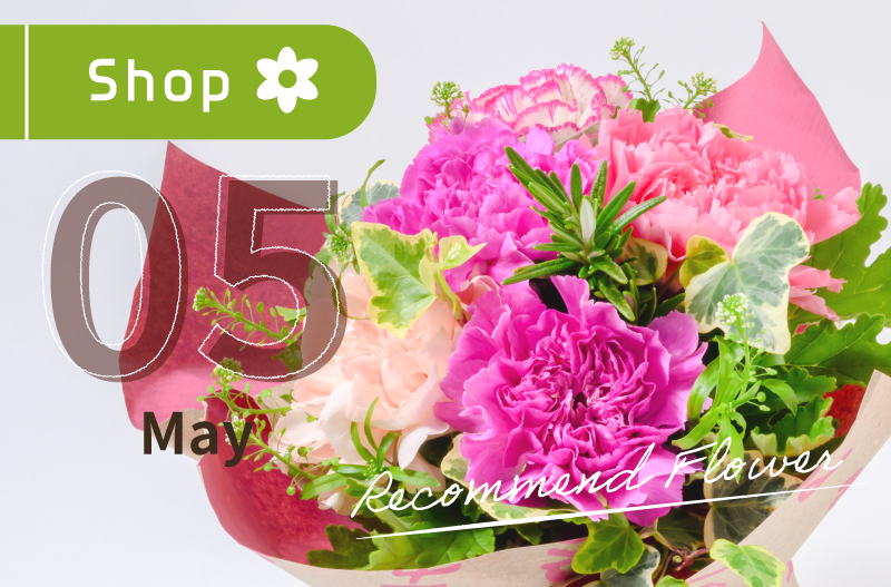 レコメンドフラワー　5月の花　旬の花