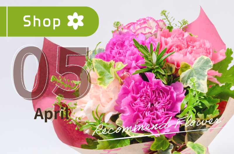 5月　レコメンドフラワー　旬の花　初夏の花　母の日　日比谷花壇　ヒビヤカダンスタイル