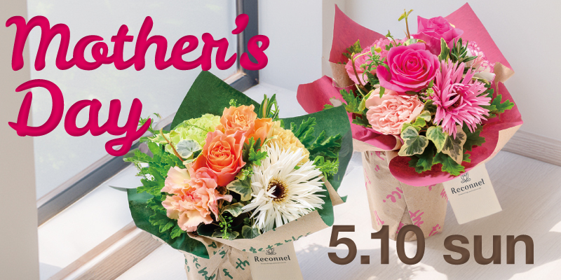 ルコネル　母の日　母の日ギフト
フラワーギフト　カーネーション