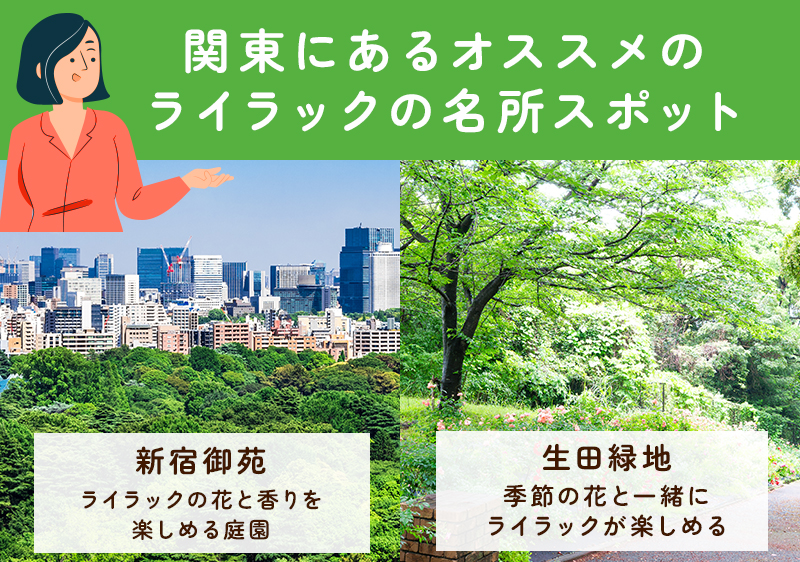 関東のライラックの名所