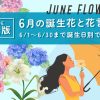 6月の誕生花一覧💐代表的な花と花言葉をわかりやすく紹介