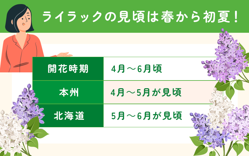 ライラックの見頃