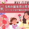 5月の誕生花一覧💐代表的な花と花言葉をわかりやすく紹介