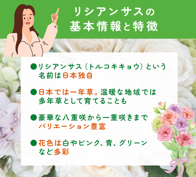 トルコキキョウ(リシアンサス)の基本情報