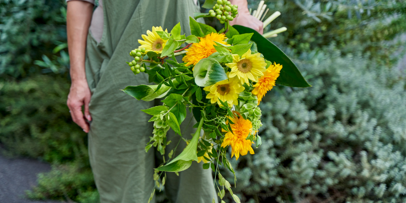 6月の花　旬の花　ヒマワリ　カラー