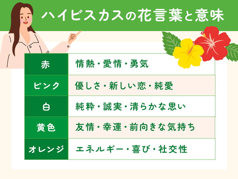 ハイビスカスの花言葉と意味