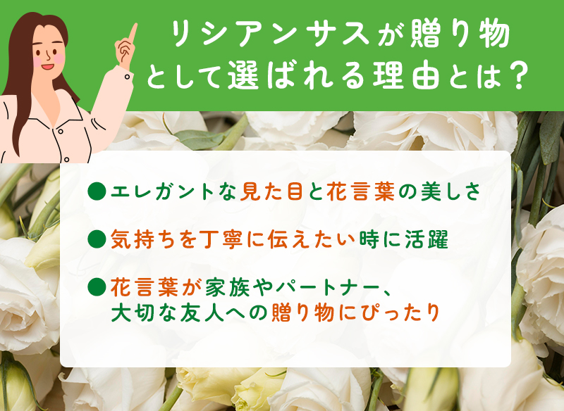 トルコキキョウ(リシアンサス)が贈り物で選ばれる理由