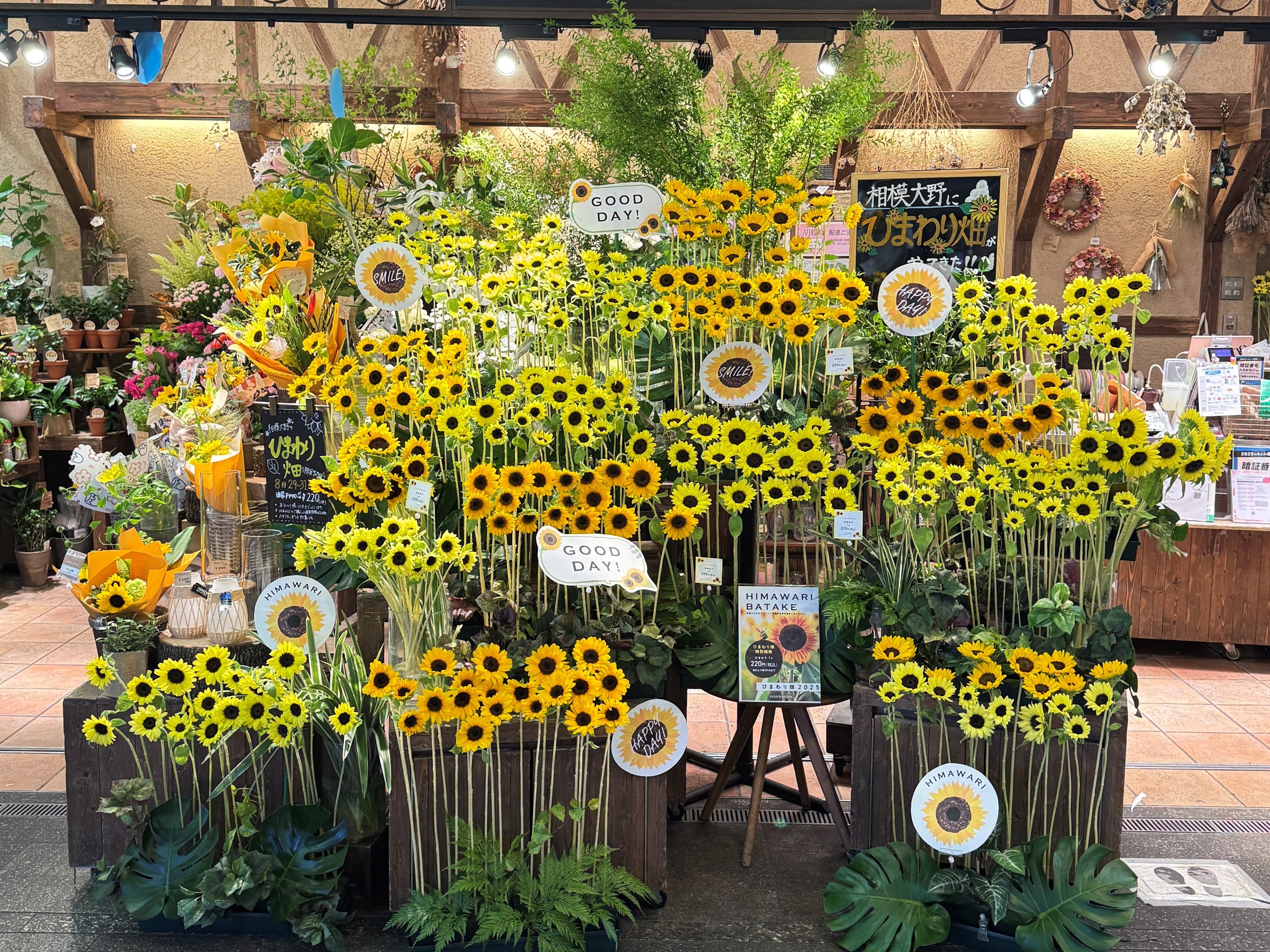 日比谷花壇 ヒビヤカダンスタイル
ルコネル ひまわり畑 ひまわり 旬の花 イベント