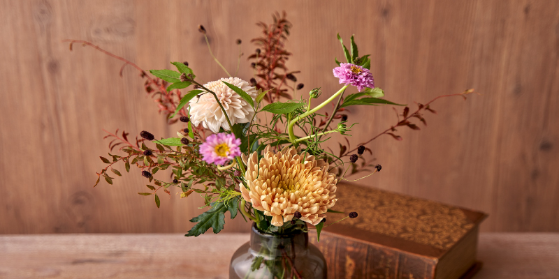 レコメンドフラワー 旬の花 マム 菊 コスモス