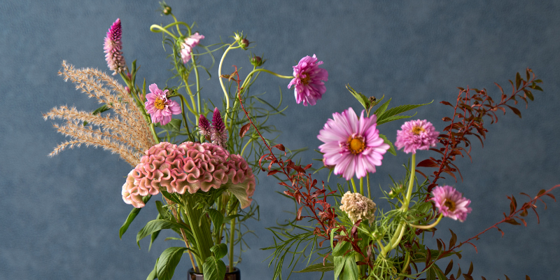 レコメンドフラワー 旬の花 秋の花 ケイトウ