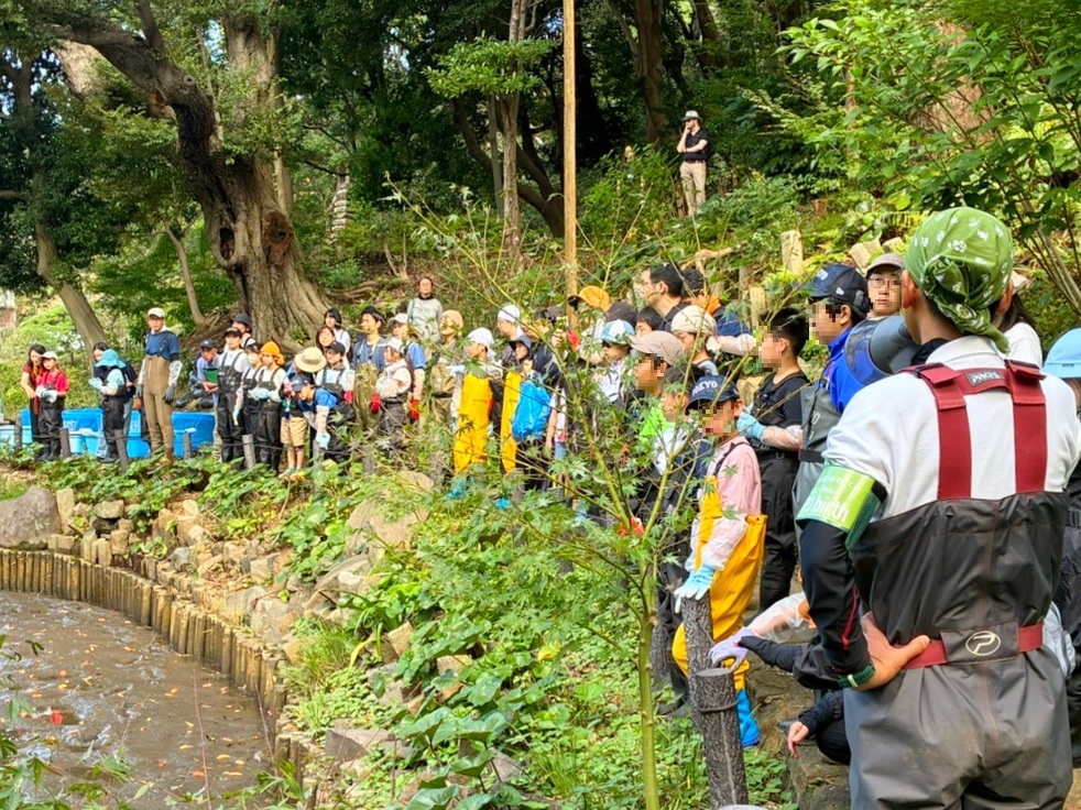 文京区 区制80周年 肥後細川庭園 かいぼり 説明