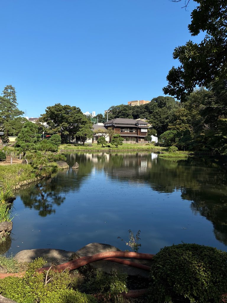 文京区 区制80周年 肥後細川庭園 かいぼり 大池